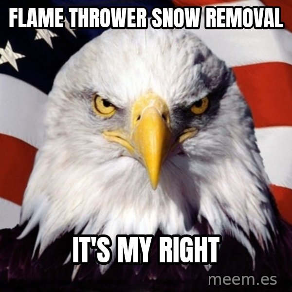 American Pride Eagle meme: Flame thrower snow removal / It's my right