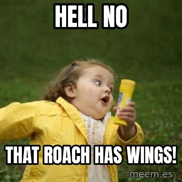 Little girl running away meme: Hell no / That roach has wings!