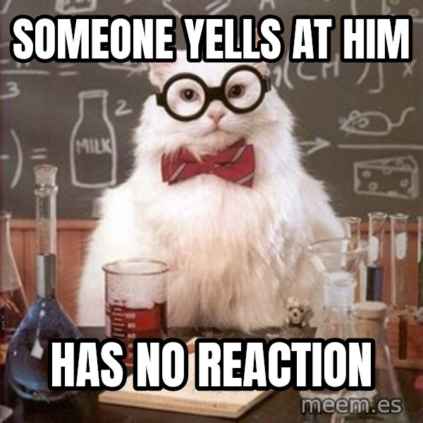 Chemistry Cat meme: SOMEONE YELLS AT HIM / HAS NO REACTION