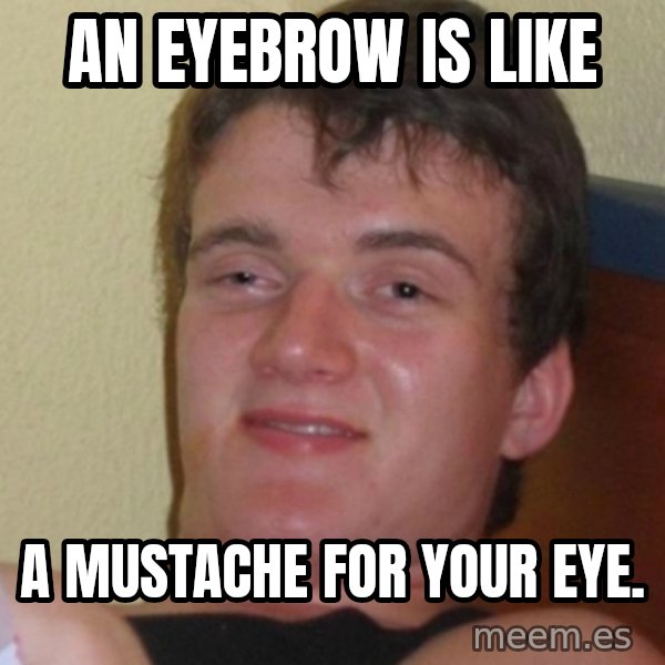 Stoner Stanley meme: an eyebrow is like / a mustache for your eye.