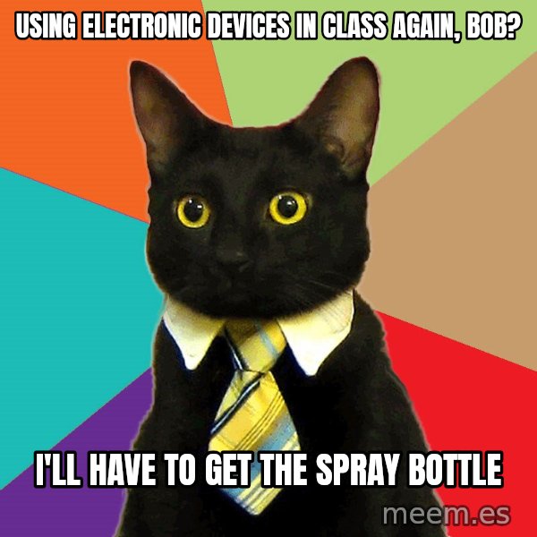 Business Cat meme: using electronic devices in class again, bob? / I'll have to get the spray bottle