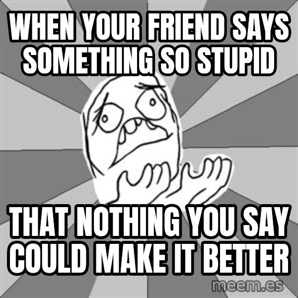 Whyyy??? meme: When your friend says something so stupid / that nothing you say could make it better