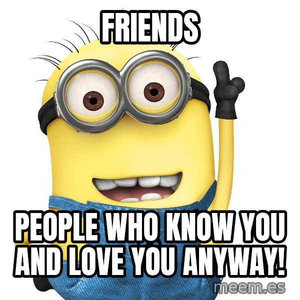 Despicable Me Minion meme: Friends / people who know you and love you anyway!