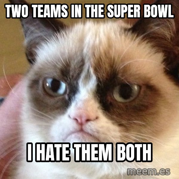 Angry Cat Meme meme: Two teams in the super bowl / i hate them both