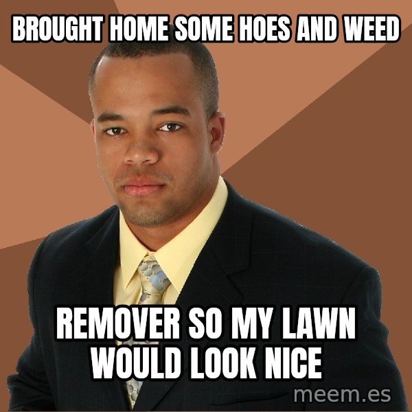 Successful Black Man meme: Brought home some hoes and weed / remover so my lawn would look nice