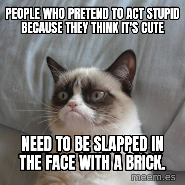 Grumpy cat good meme: People who pretend to act stupid because they think it's cute / Need to be slapped in the face with a brick.