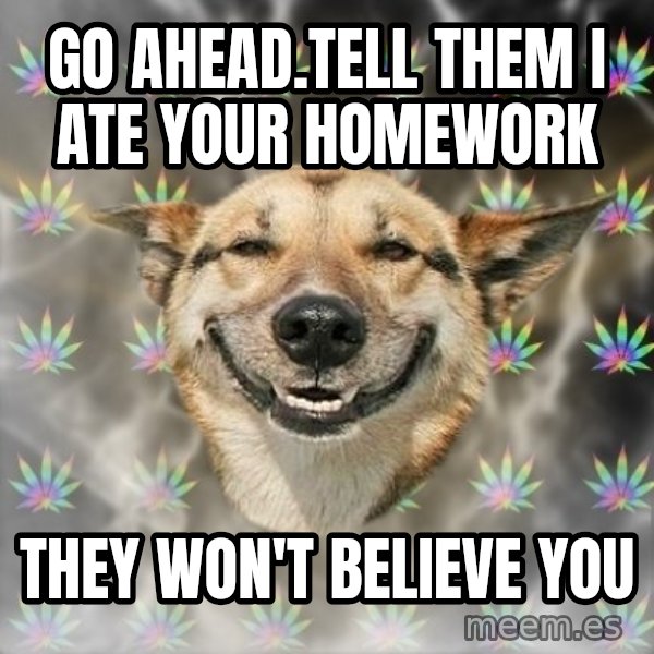 Stoner Dog meme: go ahead.tell them I ate your homework / they won't believe you