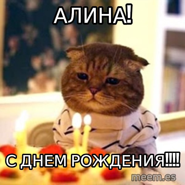 Birthday Cat meme: Алина! / С Днем Рождения!!!!