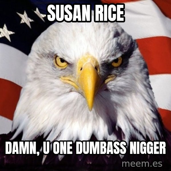 American Pride Eagle meme: susan rice / damn, u one dumbass nigger