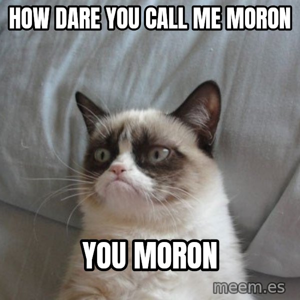 Grumpy cat good meme: how dare you call me moron / You moron