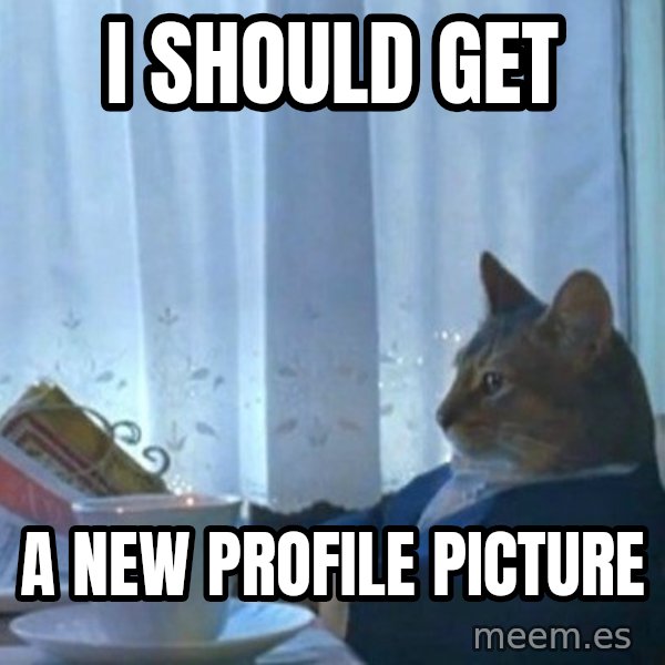 newspaper cat realization meme: I should get / a new profile picture