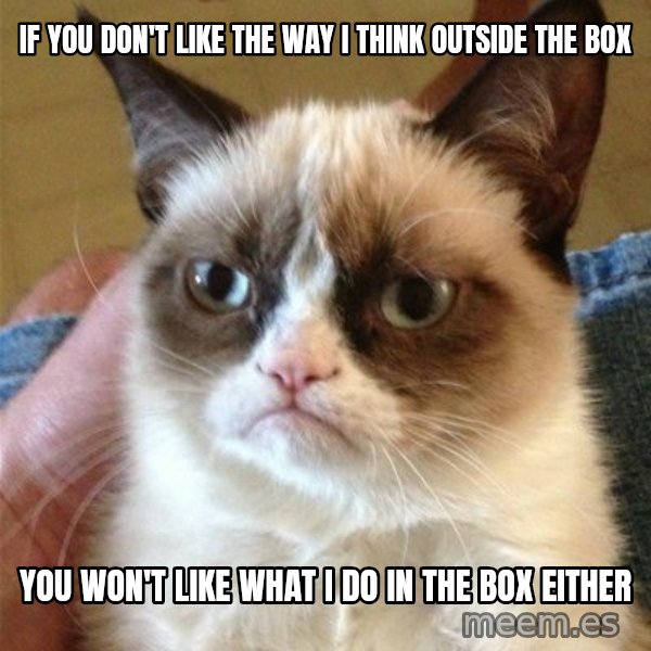 Grumpy Cat  meme: if you don't like the way I think outside the box / you won't like what I do in the box either