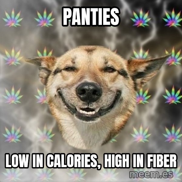 Stoner Dog meme: panties / low in calories, high in fiber