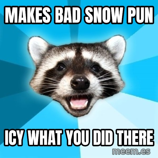 Lame Pun Coon meme: Makes Bad snow Pun / Icy what you did there
