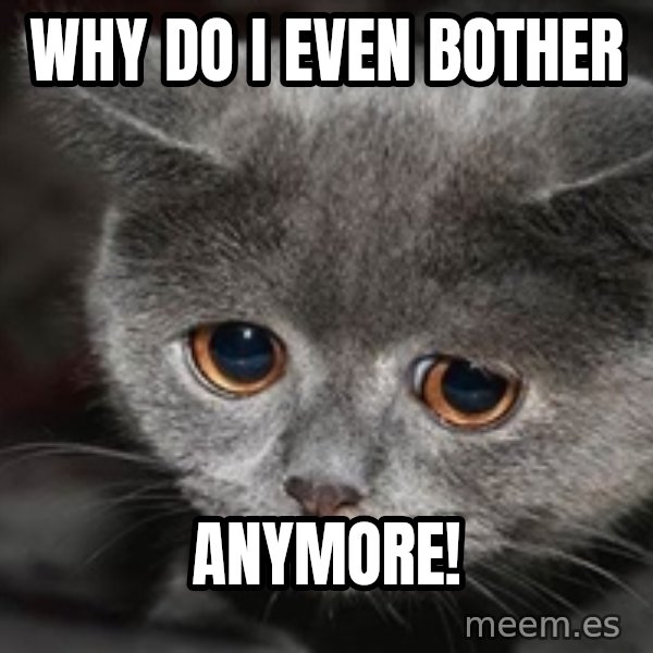 Sadcat meme: Why do I even bother / anymore!