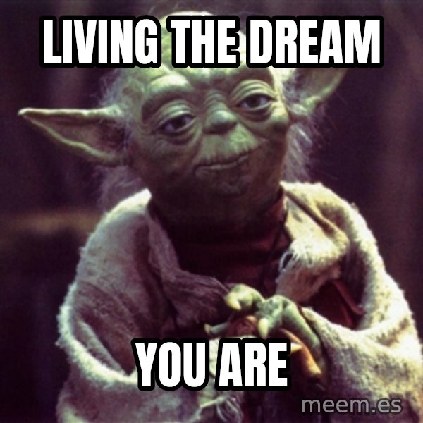 Advice Yoda Gives meme: Living the dream / you are