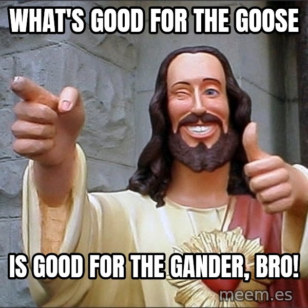 jesus says meme: What's good for the goose / IS GOOD for the gander, bro!