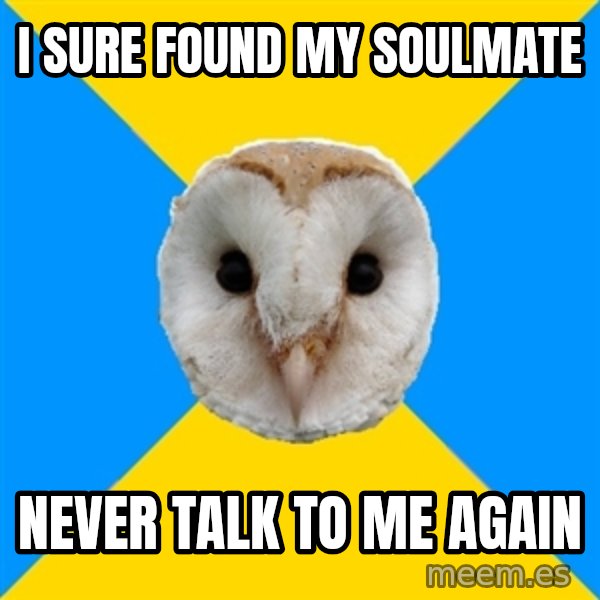 Bipolar Owl meme: i sure found my soulmate / never talk to me again