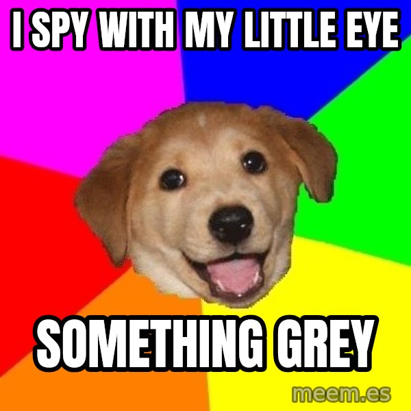 Advice Dog meme: I spy with my little eye / something grey