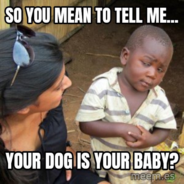 Skeptical 3rd World Kid meme: SO YOU MEAN TO TELL ME... / YOUR DOG IS YOUR BABY?