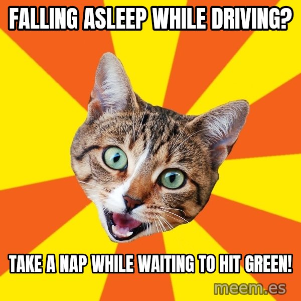 Bad Advice Cat meme: FALLING ASLEEP WHILE DRIVING? / TAKE A NAP WHILE WAITING TO HIT GREEN!