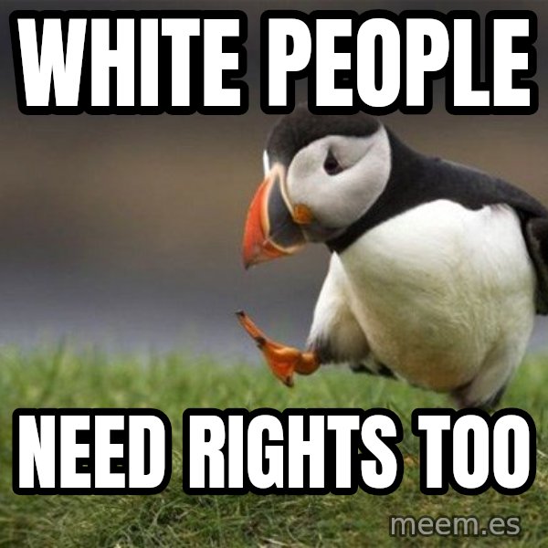Unpopular Opinion Puffin meme: White people / need rights too