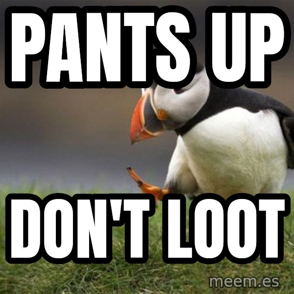 Unpopular Opinion Puffin meme: pants up / don't loot