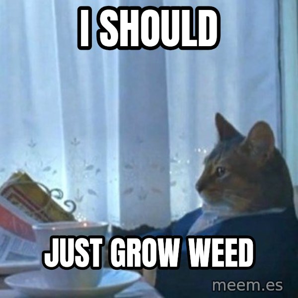newspaper cat realization meme: I should / just grow weed
