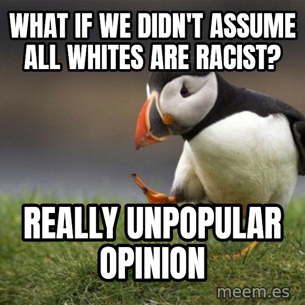 Unpopular Opinion Puffin meme: what if we didn't assume all whites are racist? / really unpopular opinion