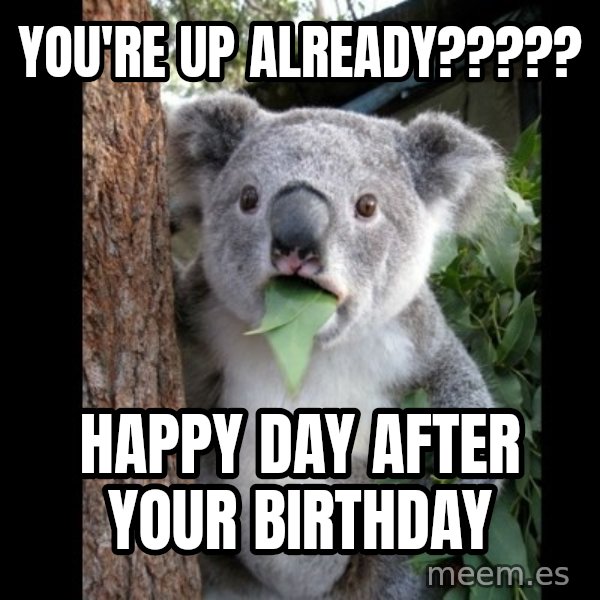 Koala can't believe it meme: you're up already????? / happy day after your birthday
