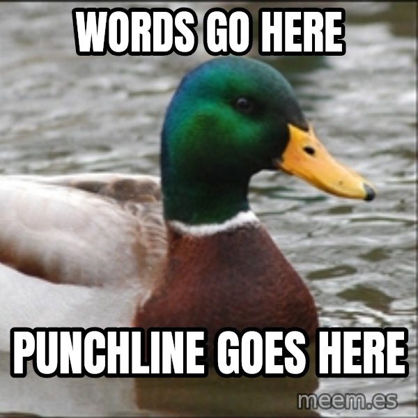 Actual Advice Mallard 1 meme: Words go here / punchline goes here