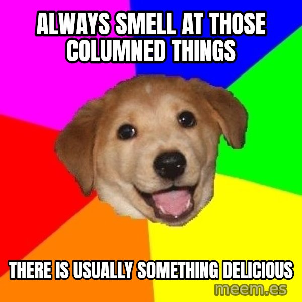 Advice Dog meme: ALWAYS SMELL AT  THOSE COLUMNED THINGS / THERE IS  USUALLY SOMETHING DELICIOUS