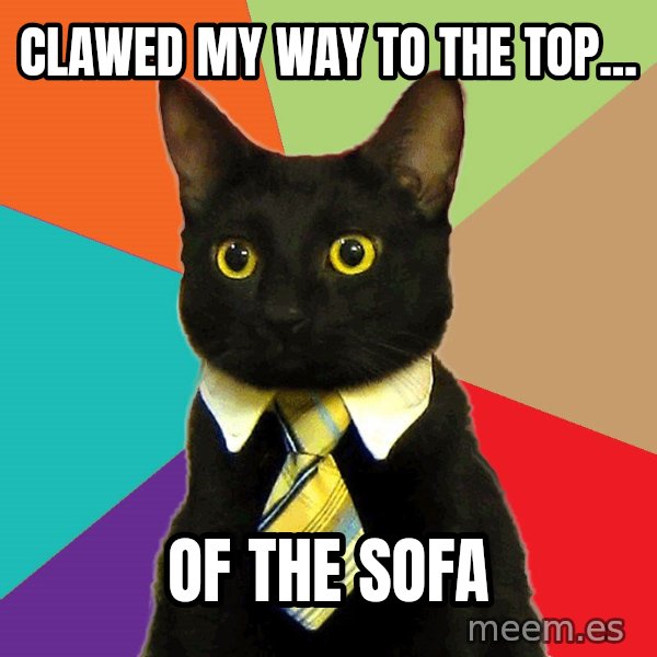 Business Cat meme: Clawed my way to the top... / Of the sofa