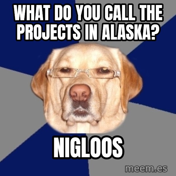 Racist Dawg meme: What do you call the projects in Alaska? / Nigloos