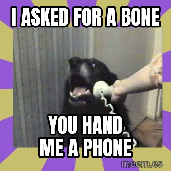 Yes, this is dog! meme: i asked for a bone / you hand me a phone