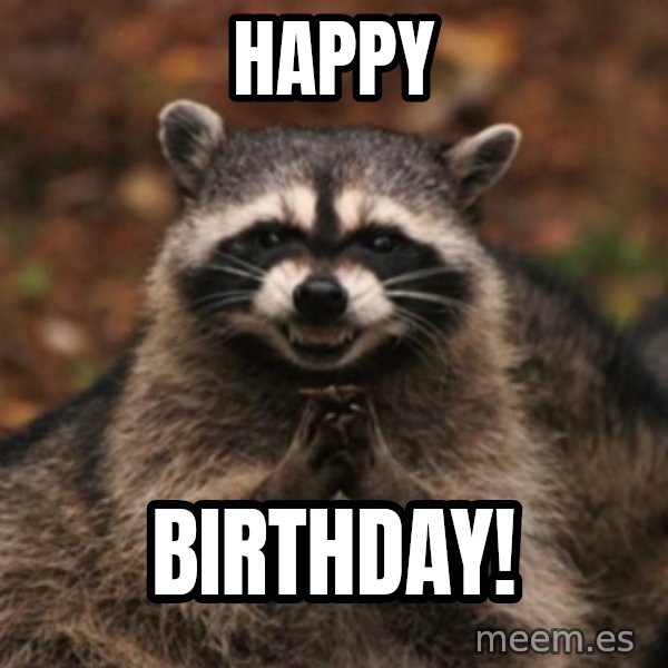evil raccoon meme: Happy / Birthday!