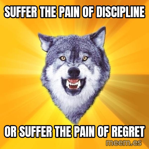 Courage Wolf meme: Suffer the pain of discipline / or suffer the pain of regret