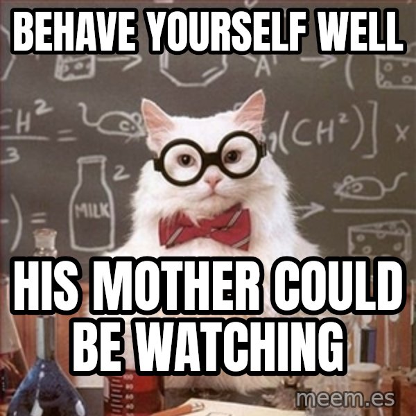 Science Cat meme: Behave yourself well / his mother could be watching