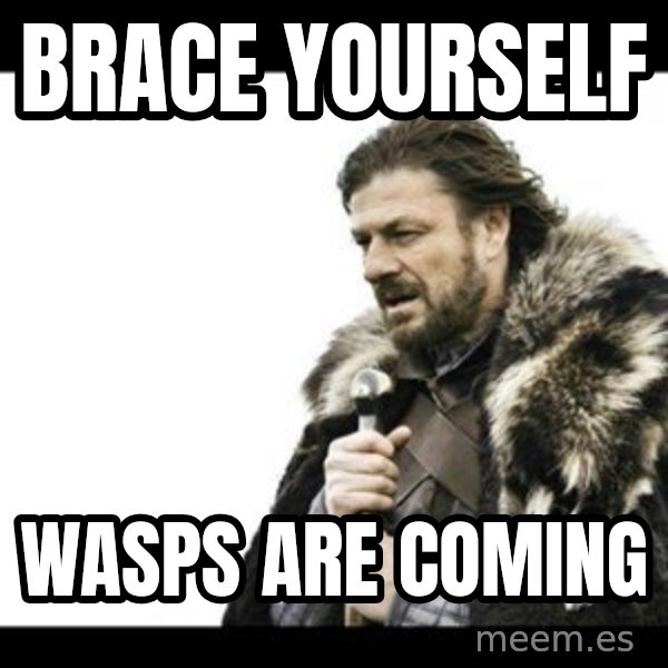 Winter is Coming meme: Brace yourself / Wasps Are Coming