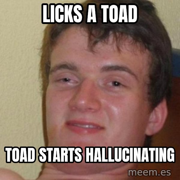 really high guy meme: Licks a toad / Toad starts hallucinating