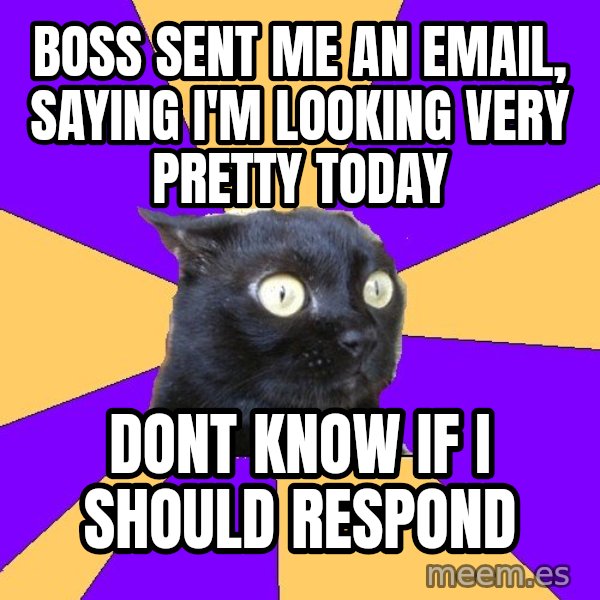 Anxiety Cat meme: Boss sent me an email, saying i'm looking very pretty today / DONT KNOW IF I SHOULD RESPOND