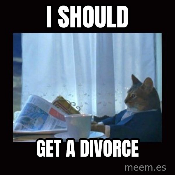 i should buy a boat cat meme: I SHOULD / GET A DIVORCE