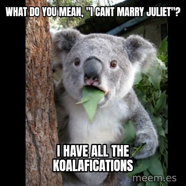 Koala can't believe it meme: What do you mean, "I cant marry Juliet"? / I have all the koalafications