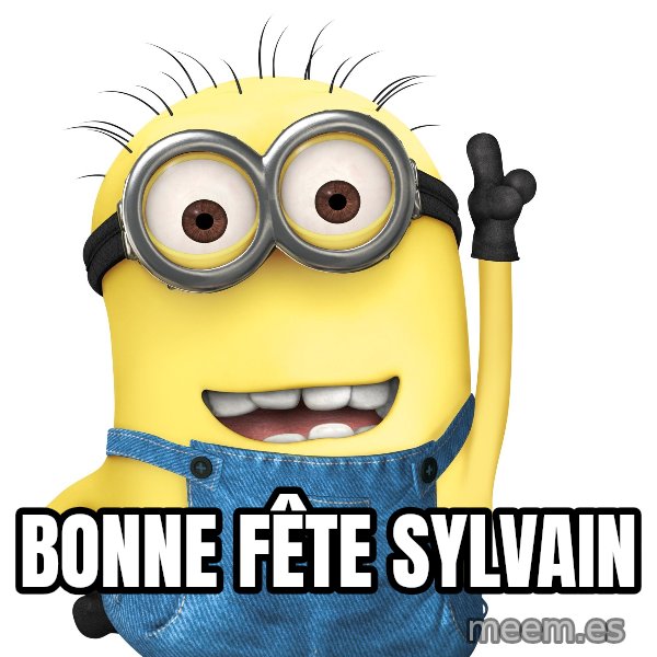 Despicable Me Minion meme: Bonne fête sylvain