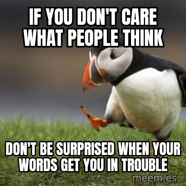 Unpopular Opinion Puffin meme: if you don't care what people think / don't be surprised when your words get you in trouble