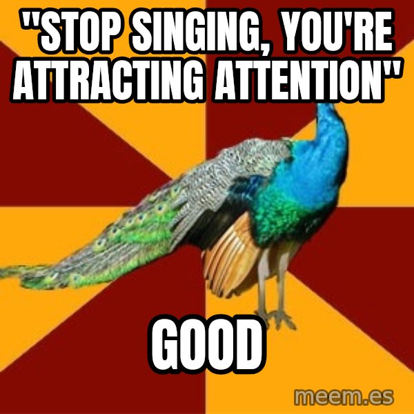 Thespian Peacock meme: "Stop singing, you're attracting attention" / Good