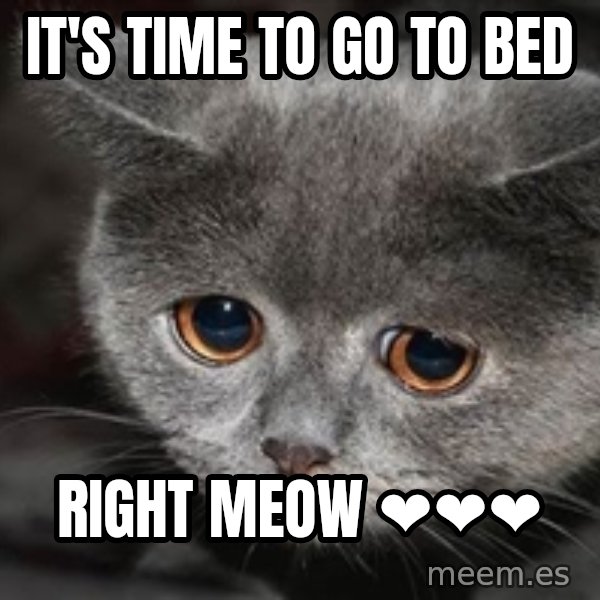 Sadcat meme: It's time to go to bed / Right meow ❤️❤️❤️