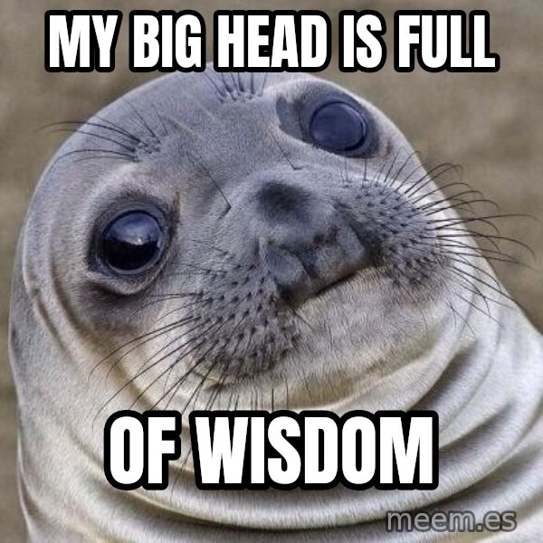 Awkward Seal meme: my big head is full / of wisdom