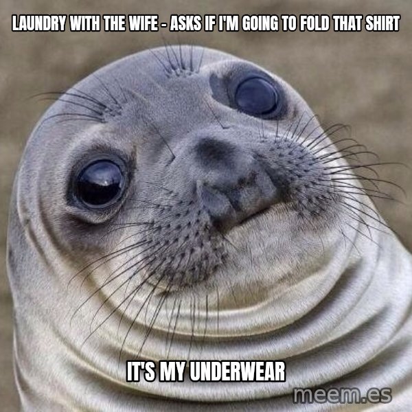 Awkward Seal meme: Laundry with the wife - asks if I'm going to fold that shirt / It's my underwear