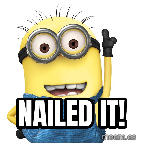 Despicable Me Minion meme: Nailed it!
